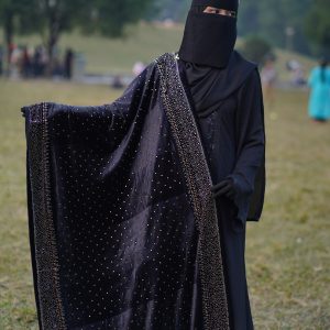 রাজকীয় লুকের পিওর উল শাল