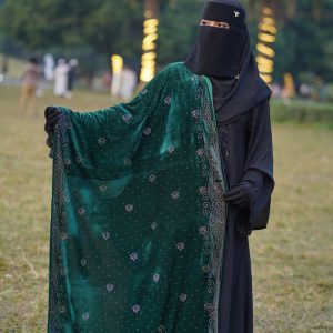 রাজকীয় লুকের পিওর উল শাল