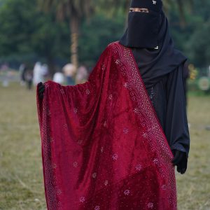 রাজকীয় লুকের পিওর উল শাল
